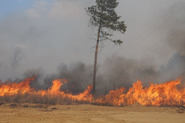 Живущие около леса амурчане должны подготовиться к весеннему пожароопасному периоду