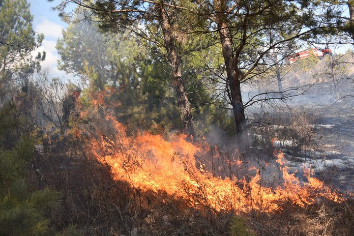 В сёлах Амурской области пройдёт подготовка к пожарно-тактическим учениям