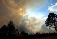 Лесные пожары в Свободненском районе не стали ждать официально назначенной властями даты начала пожароопасного периода