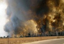 В Свободненском районе догорают последние леса, а по отчётам – пожаров стало меньше