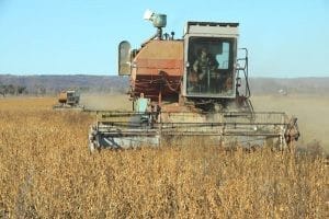 Свободненский район подводит итоги сельскохозяйственного года