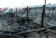 В цыганской конюшне на окраине Свободного в пожаре погибли 11 породистых скакунов