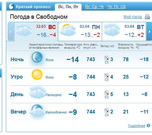 Гисметео пенза 10 дней прогноз. Погода Свободный. Погода в Свободном Амурской области.