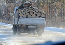 Чёрных лесорубов, уничтоживших более 400 деревьев в Свободненском районе, будут судить