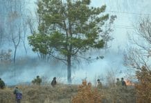 В Амурской области идёт подготовка к осеннему пожароопасному периоду