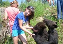 Школьники из Новгородки побывали в гостях у медведей