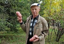 Рекордный урожай картофеля в Черновке