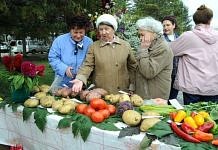 Свободненские огородники привезли на выставку чудо-овощи