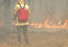 Где «сгорают» деньги на борьбу с лесными пожарами?