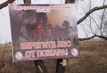 В Амурской области готовятся к борьбе с весенними лесными пожарами