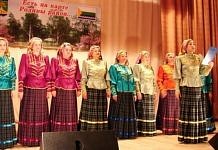 Сельские самодеятельные коллективы Свободненского района защищали звания народных