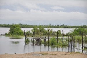 Наводнение Суражевка. Новости