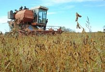 Губернатор Василий Орлов: «Гранты на развитие семейных ферм получили шесть КФХ Приамурья»