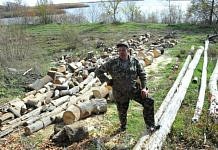 Житель Свободненского района заготавливает дрова из принесённых наводнением брёвен