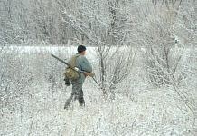 На браконьеров, убивших двух косуль в районе свободненского села Сычёвка, заведено уголовное дело