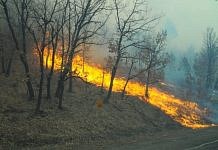 126 тонн воды сбросили с неба на горящие леса Свободненского и Благовещенского районов