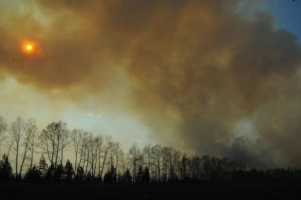 Самой сложной в Амурской области по-прежнему остаётся ситуация с пожарами в Ромненском и Свободненском районах. Новости