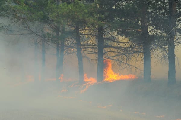 Самой сложной в Амурской области по-прежнему остаётся ситуация с пожарами в Ромненском и Свободненском районах. Новости