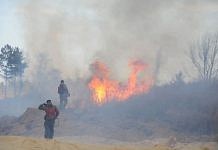 За сутки Амурская область выбилась в лидеры по числу лесных пожаров