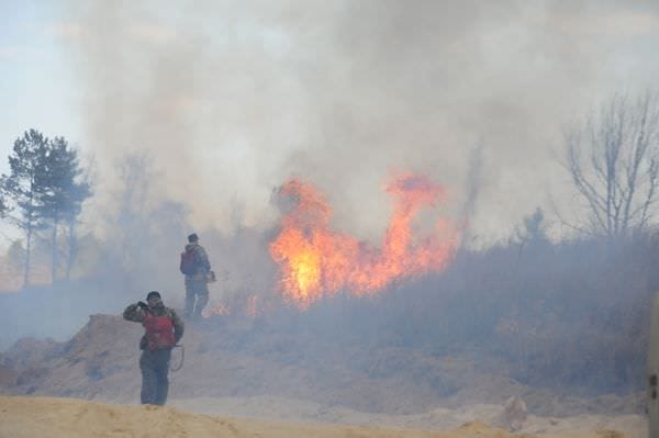 Лесной пожар. Новости