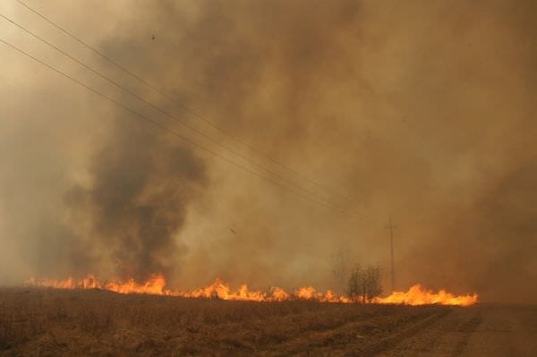 Пожар Дубовка. Новости