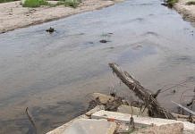 В речке рядом с селом в Свободненском районе рыбак нашёл утонувшую новорождённую