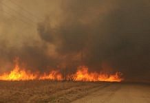 Площадь пожара в Ромненском районе Амурской области достигла ужасающих размеров