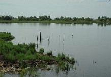 Один из подозреваемых в убийстве женщин на озере Большанка — бывший работник свободненского наркоконтроля