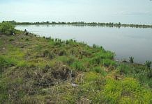В озере Большанка на окраине Свободного найдены тела двух молодых женщин