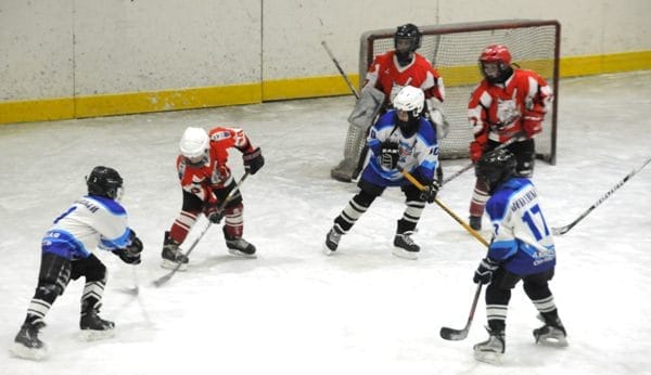 Юные хоккеисты свободненского «Союза» заняли две ступени пьедестала в областном турнире. Новости
