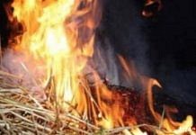 Первым пожаром нового года в Свободненском районе стал сгоревший от бенгальского огня стог сена