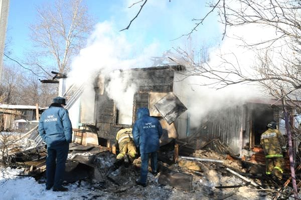 В посёлке свободненского аэропорта вместе с домом сгорело несколько семей пчёл. Новости