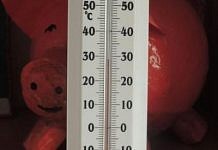В одной из школ Свободненского района дети всю зиму страдают… от невыносимой жары в классах