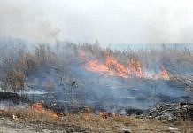 Область в режиме ЧС: пожары угрожают Свободному и сёлам района