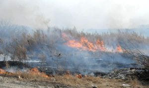 Область в режиме ЧС: пожары угрожают Свободному и сёлам района. Новости