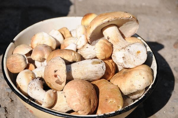 На уличных прилавках Свободного начали продавать первые грибы и клубнику. Новости