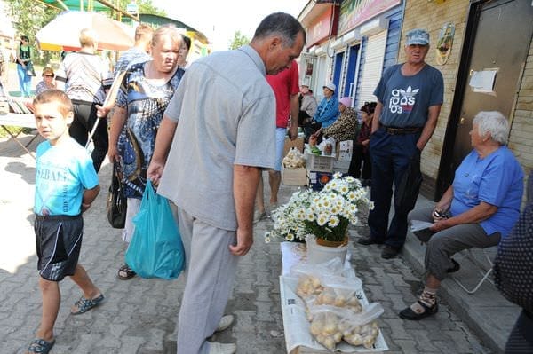 На уличных прилавках Свободного начали продавать первые грибы и клубнику. Новости