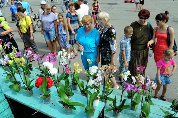 Традиционно в День города в центре внимания свободненцев был арт-бульвар. Новости