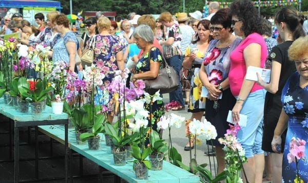 В День города впервые в Свободном прошёл фестиваль цветов. Новости