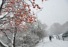 Снегопад сказочно преобразил Свободный и сделал опасными дороги