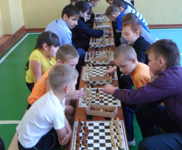 Школьная спартакиада в Свободненском районе может остаться без юных шахматистов. Новости