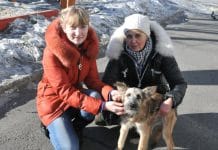 Новые хозяева для брошенного щенка нашлись в селе Свободненского района