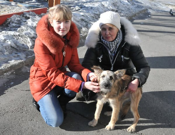 Новые хозяева для брошенного щенка нашлись в селе Свободненского района. Новости