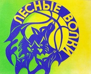 «Лесные волки» зовут свободненских школьников в спортивный лагерь!. Новости