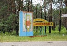 Сёстры из свободненского села Нижние Бузули приговорены к длительным срокам за сбыт героина