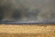 Амурская область стягивает силы для борьбы с огненной стихией