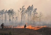 Амурской области и Якутии дадут дополнительно 150 миллионов рублей на тушение лесных пожаров