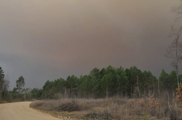Прошедшие дожди не улучшили ситуацию с лесными пожарами в Свободненском районе. Новости