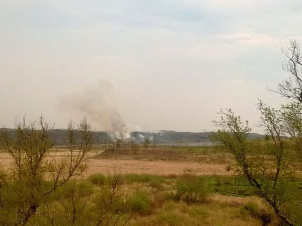 Жителей села Усть-Пёра в Свободненском районе спасла от огня речка. Новости