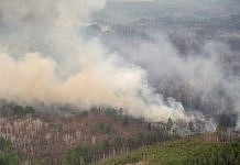 Больше половины всех лесных пожаров на Дальнем Востоке приходится на Амурскую область